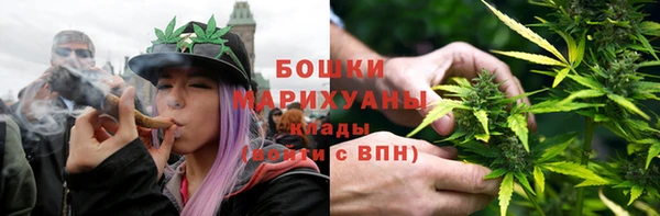 дмт Арсеньев