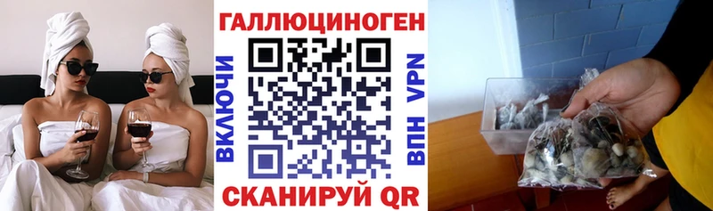 мориарти Telegram  Малмыж  Галлюциногенные грибы GOLDEN TEACHER 